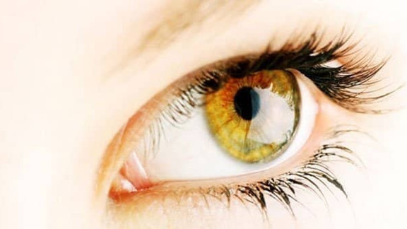 Göz İltihabı, Enfeksiyonu Bitkisel Tedavi, Şifalı Bitkiler