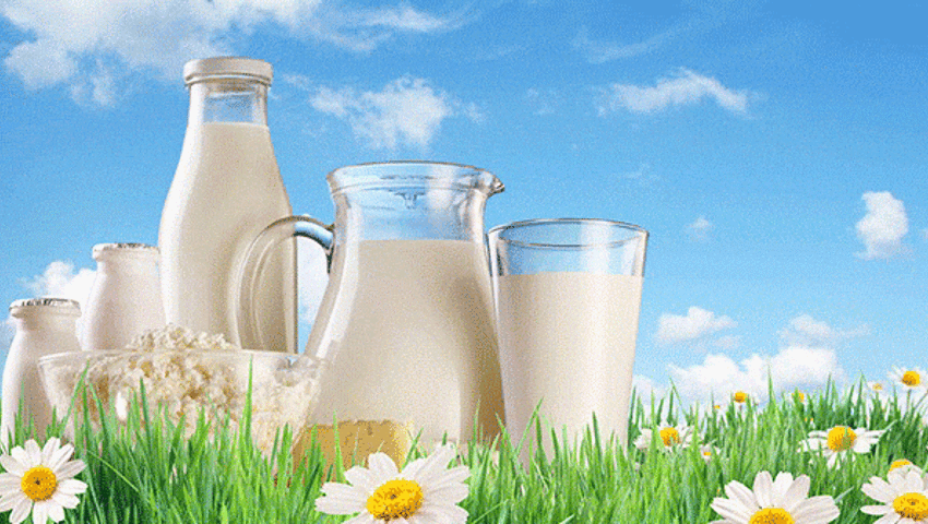 Süt Diyeti Nasıl Yapılır? Süt Diyetiyle 3 Günde 2 Kilo Zayıflayın