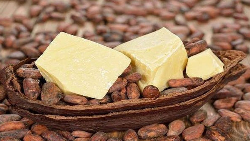 Kakao Yağı Nasıl Kullanılır Fiyatı Ne Nerede Satılır Yüze Sürülür mü?