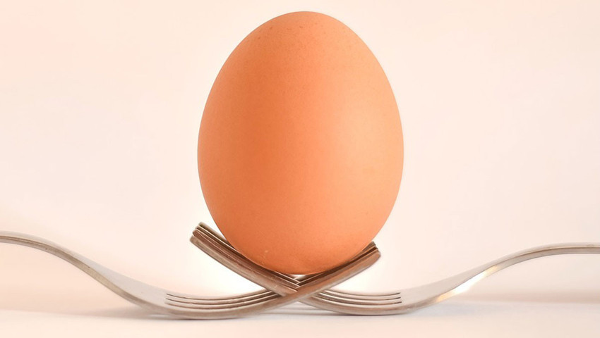 Haşlanmış yumurta hem tok tutuyor hem de yağların yakılmasına yardımcı oluyor.