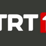 TRT1’den üç yeni yaz projesi! Dizilerini sevenler bu projeleri bekliyor…