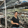 Kadın girişimci sayısı artıyor! Kütahyalı girişimci Ayşe Yağcıklı yılda 36 ton mantar üretmeyi hedefliyor!
