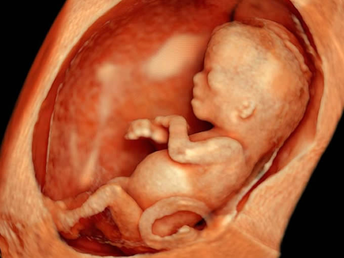 3 aylik hamilelik ilk 3 ay anne karninda 3 aylik bebek goruntusu