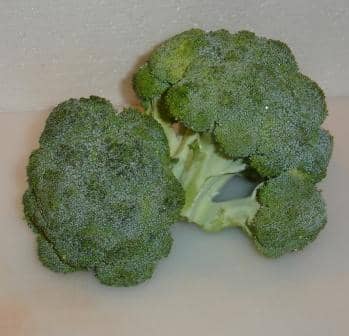 brokoli buzlukta nasil saklanir resimli anlatim