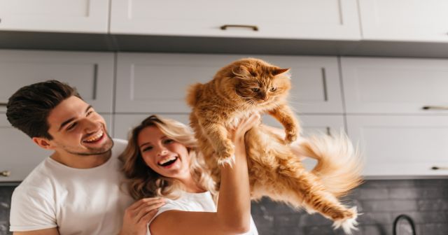 evde kedi beslemenin daha once hic bilmediginizi faydalari