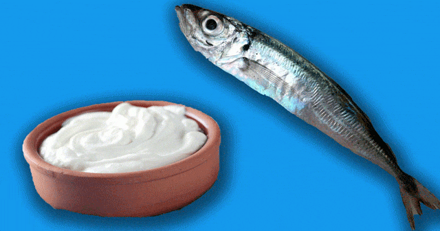 Balık İle Yoğurt Yenirmi? Uzman Doktor Cevaplıyor