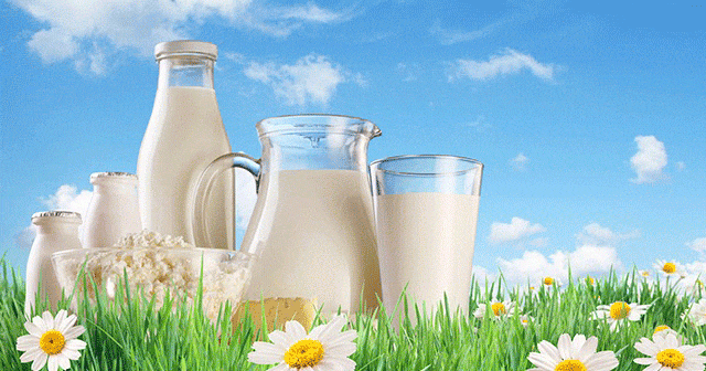 Süt Diyeti Nasıl Yapılır? Süt Diyetiyle 7 Günde 5 Kilo Zayıflayın