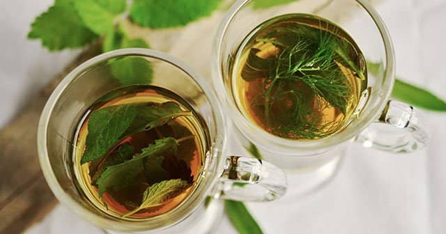 Zayıflatan Bitki Çayları En Etkili Zayıflama Çayı Tarifleri Diyet Çayları