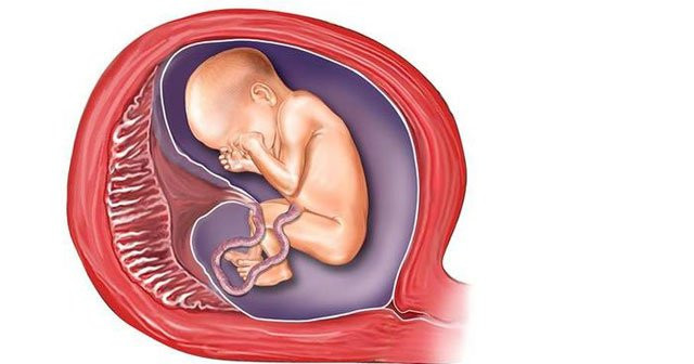 Anne Karnında Bebeğin Eşi Plasentanın Rahim Ağzına Yakın Olması