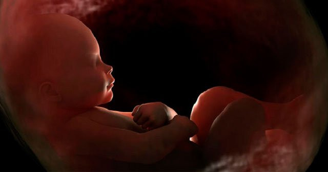 Hamilelikte Kese Ne Zaman Oluşur Kesenin İçinde Bebek Ne Zaman Görülür
