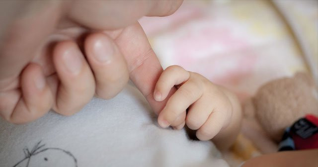 2, 3, 4 Haftalık Gebelik Belirtileri Neler? Anne Karnında 1 Aylık Bebek