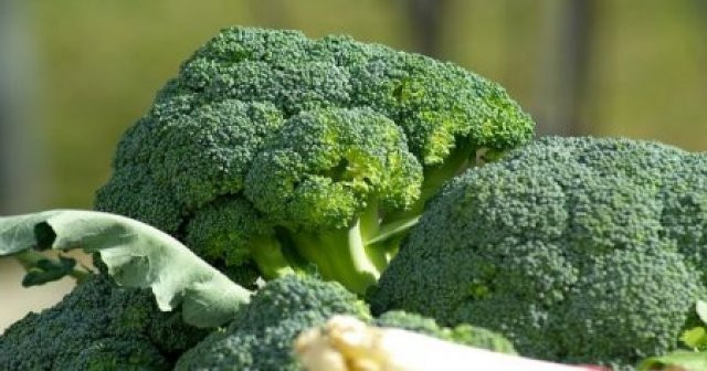 Brokoli Meyve mi Sebze mi Ne Zaman Çıkar Yenir
