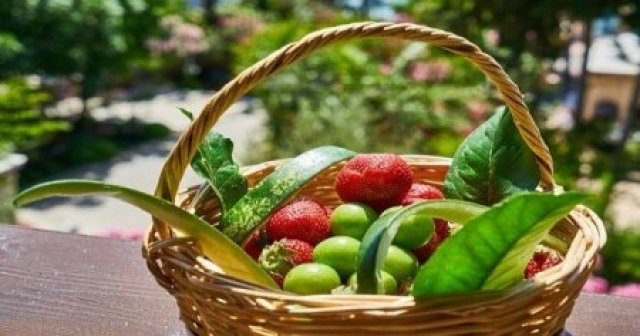 Nisan Ayında Hangi Sebzeler Ve Meyveler Yenir Sağlığa Faydaları