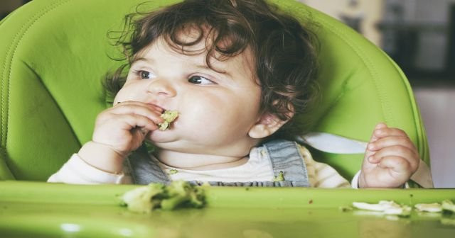 Bebeklere hem doyurucu hem de lezzetli püre tarifleri