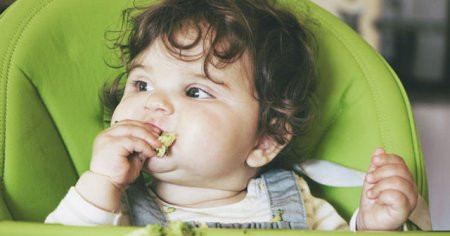 8 aylık bebek neler yiyebilir? 8 aylık bebekler için 7 farklı menü