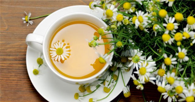 Papatya çayının sağlığa 15 zararı ve bilinmeyen faydaları