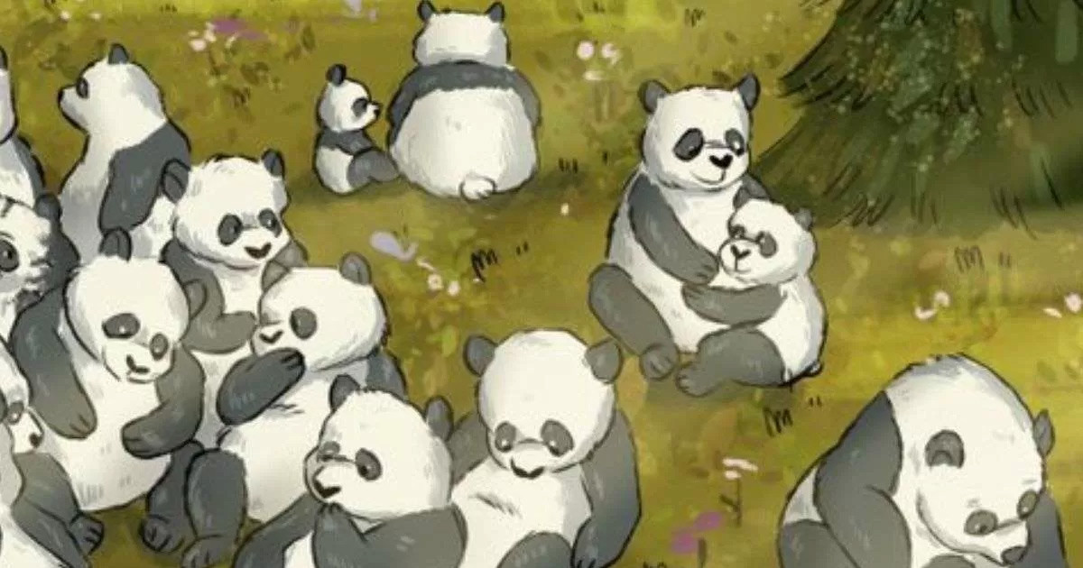 Süre: 5 saniye! Pandalar içindeki rakun nerede?