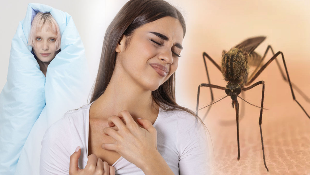 Sivrisinekler neden bazı kişileri daha fazla ısırır? ‘Açık büfe olarak görüyorlar’