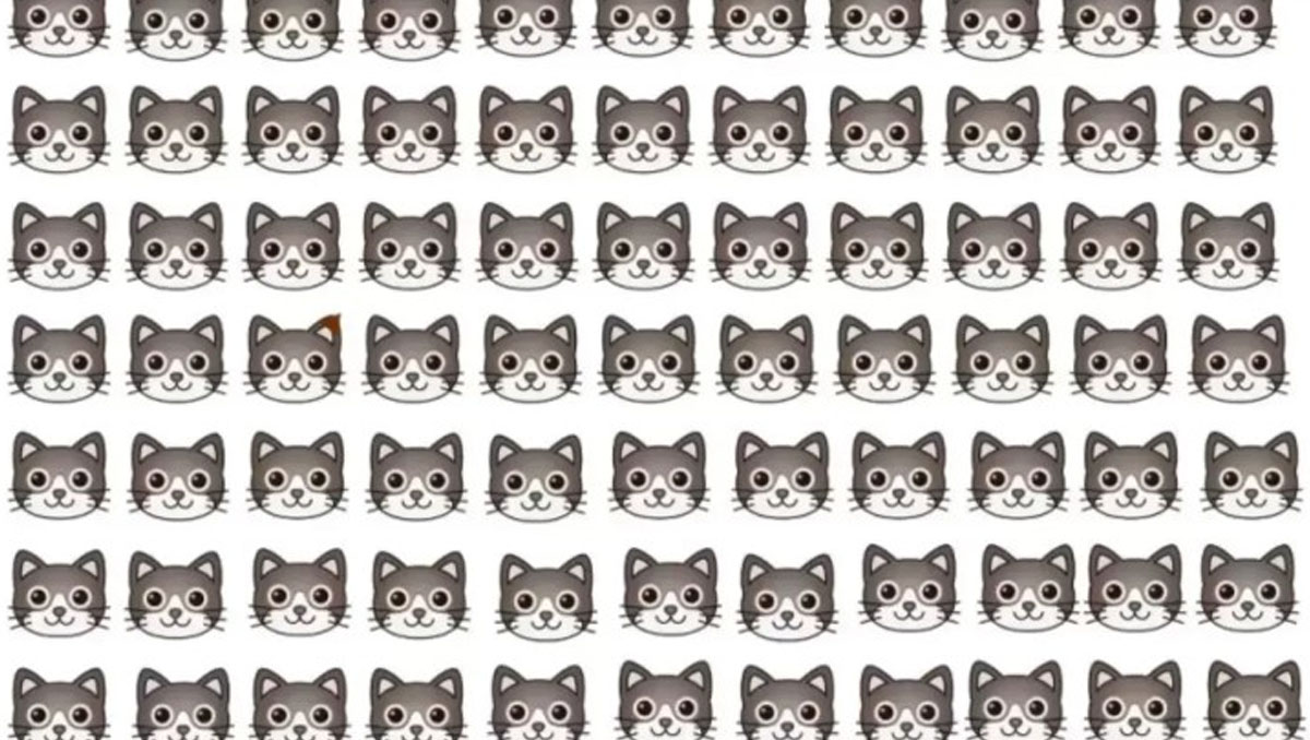 Optik illüzyondaki farklı kediyi dürbün gözler 3 saniyede sıradan kişiler 10 saniyede görebiliyor!