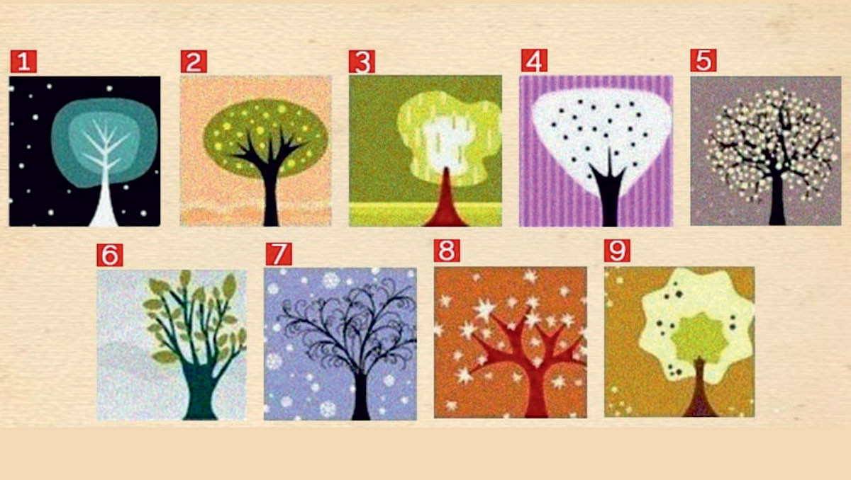 9 ağaçtan seçtiğiniz ağaç kişiliğinizi yansıtacaktır.