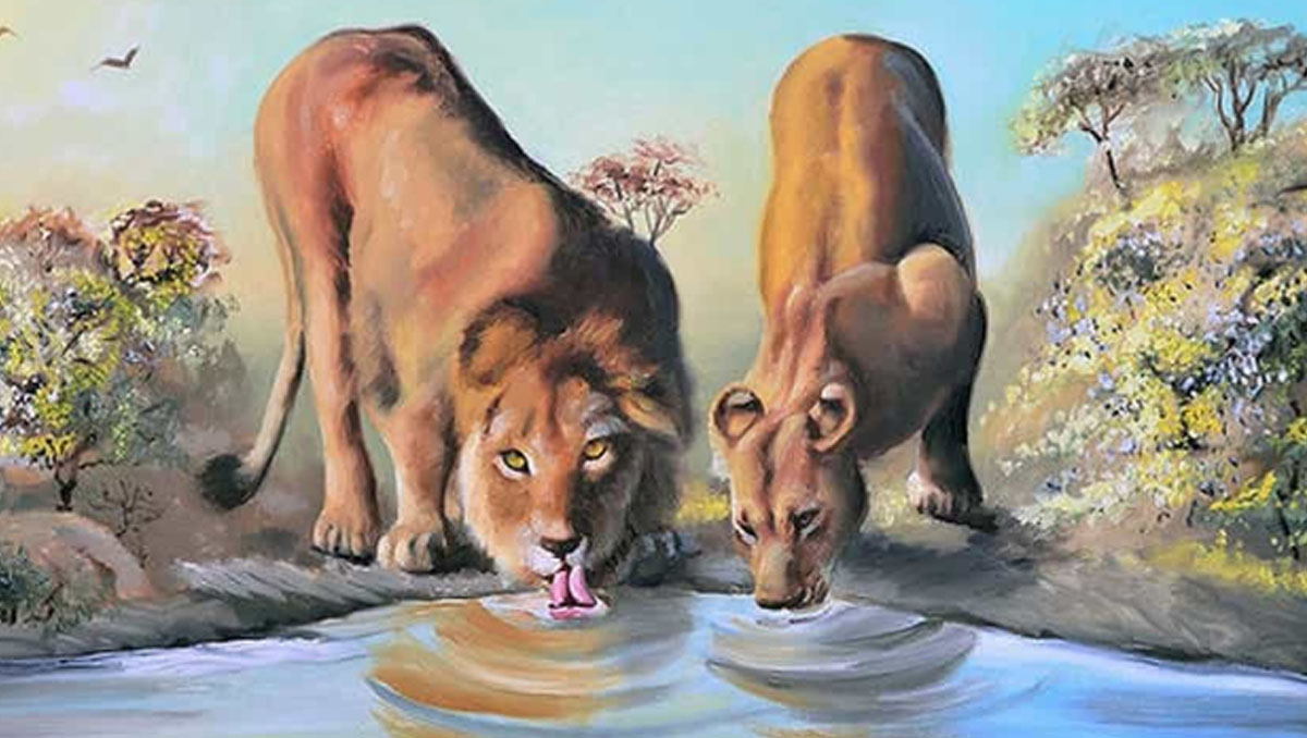Ayrıntılara keskin gözü olan kişiler aslanları 7 saniyede görebilir! Peki siz bulabilir misiniz?
