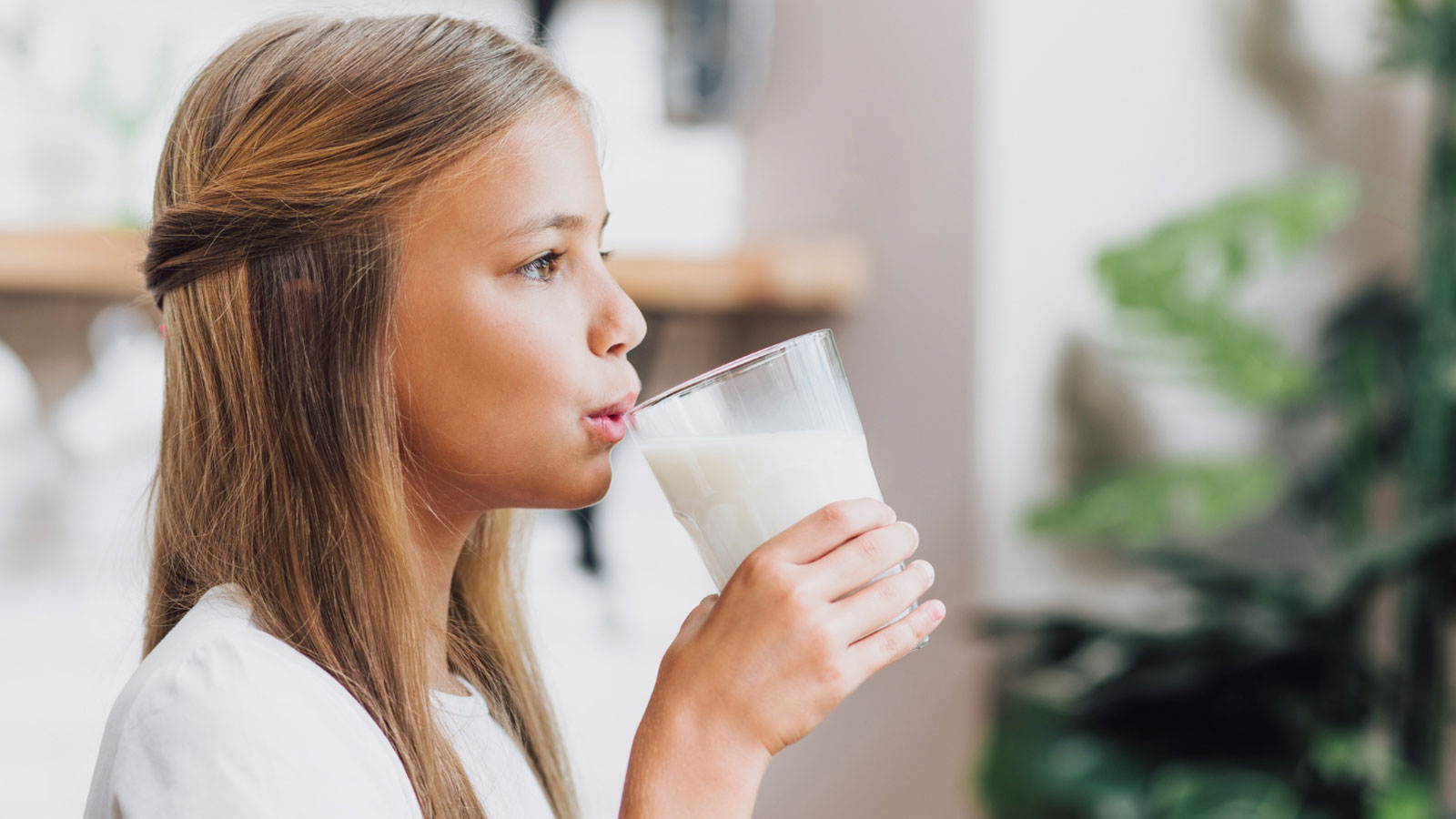 Süt metabolizmayı hızlandırıyor, kilo vermeye yardımcı oluyor. Ancak sütün fazla miktarda tüketimi yahut balla veya pekmezle beraber içilmesi kilo aldırabiliyor.