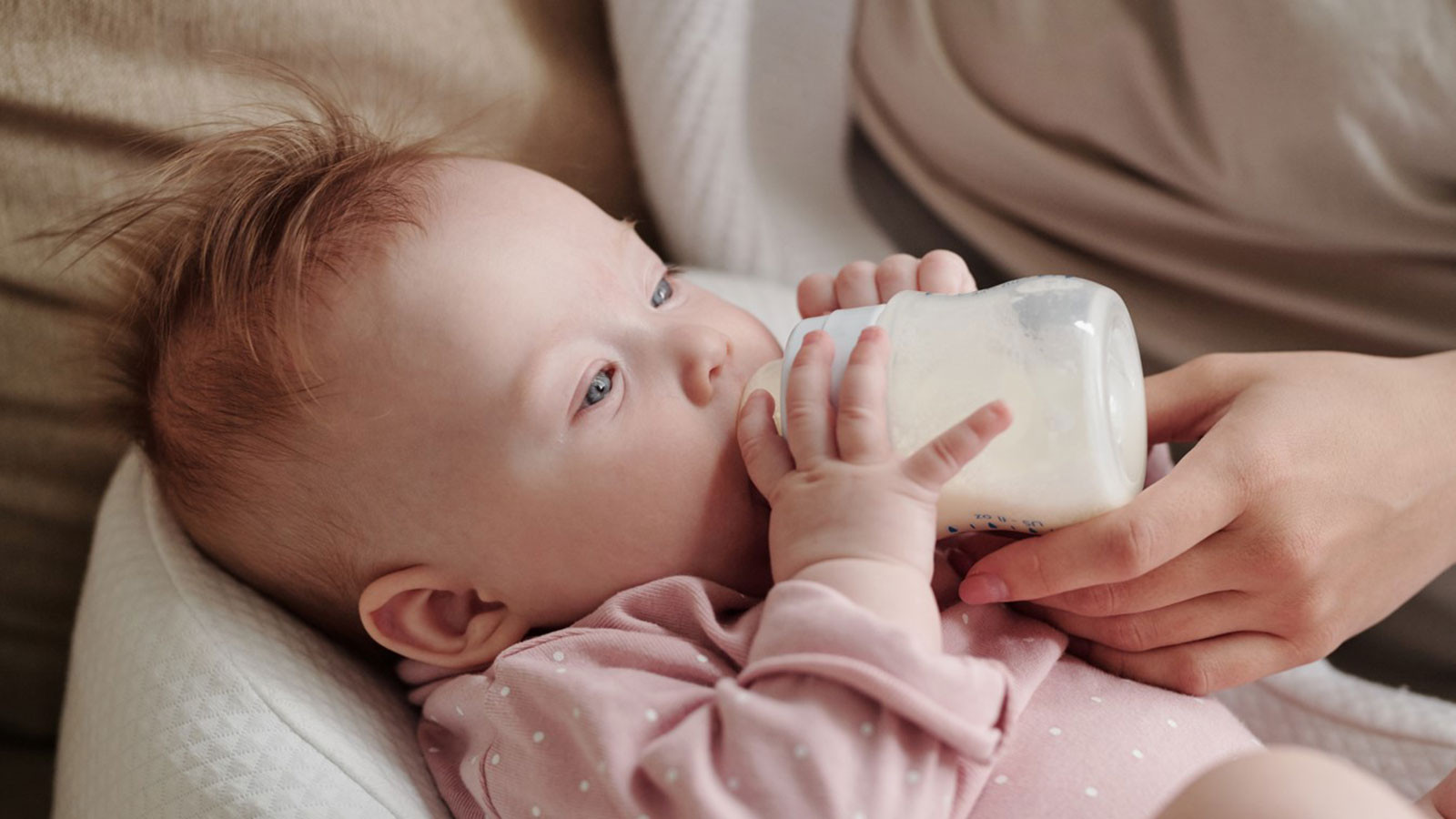 Bebeklere hangi süt verilmeli? İnek sütü mü keçi sütü mü daha faydalı? A&#039;dan Z&#039;ye süt dosyası