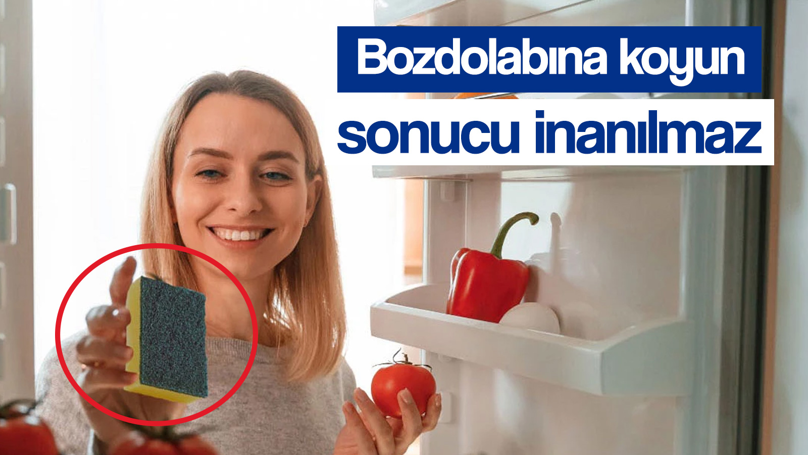 Buzdolabına koyun, mevye ve sebzelerin taze kalmasını sağlıyor