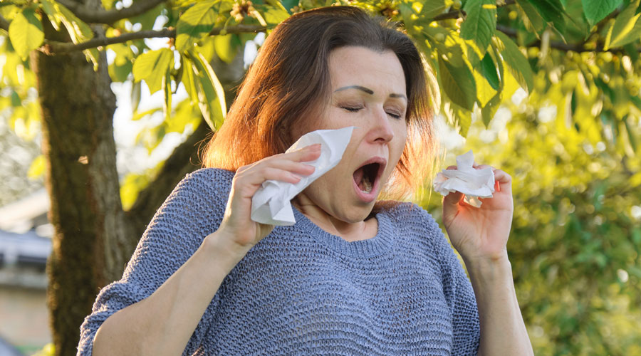 Bahar alerjisine ne iyi gelir? Türkiye'nin önde gelen 3 uzmanından bahar alerjisine doğal tedavi