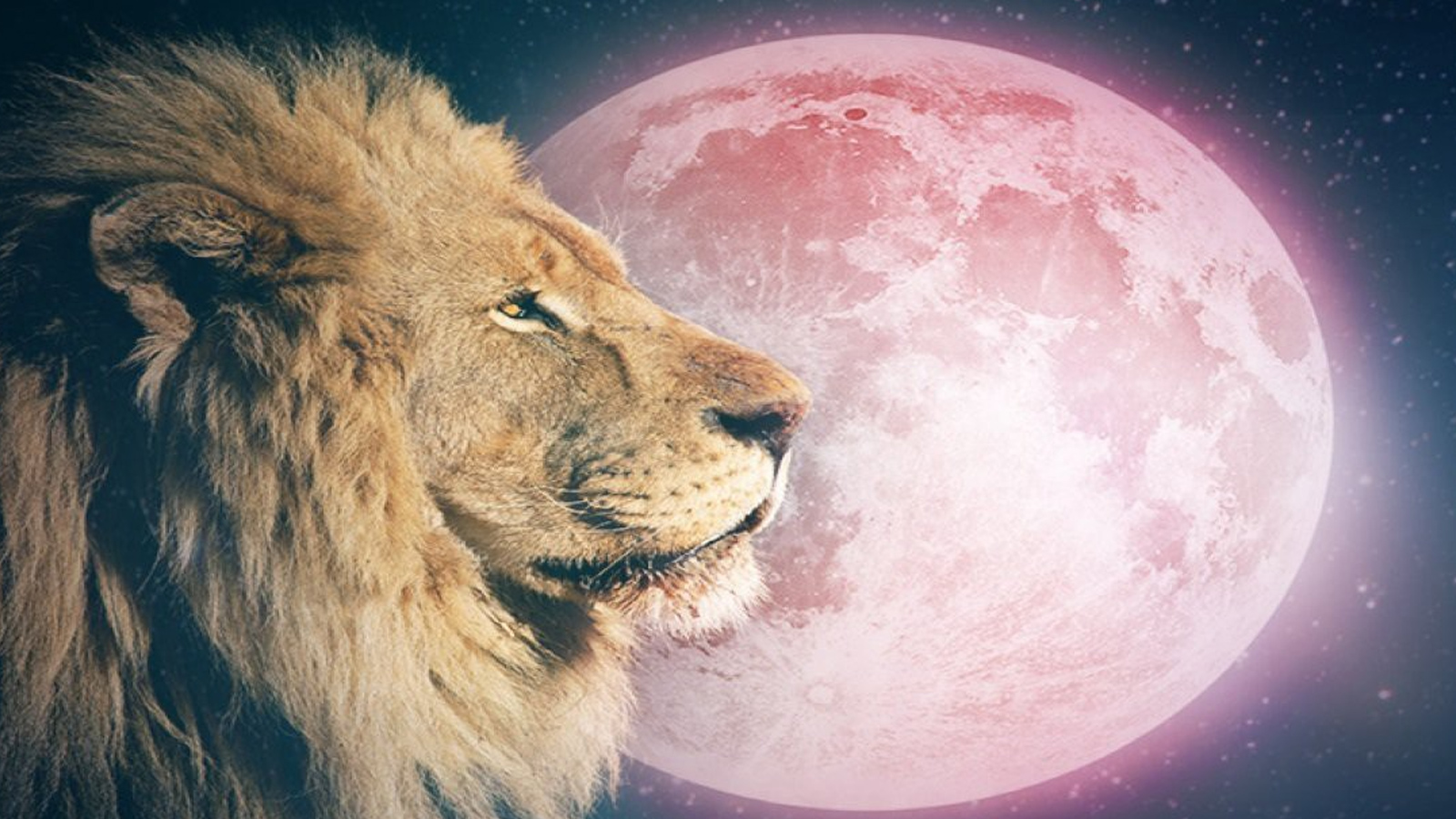 Ay, Aslan Burcunda ilerliyor! Burcunuzu ne bekliyor? Astrolog Nur Sezin Bayındır yazdı