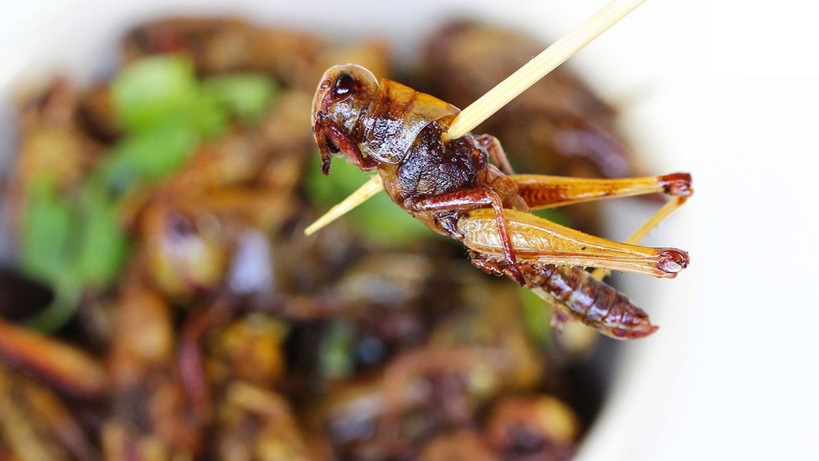 Farkında olmadan ne kadar böcek yiyoruz?