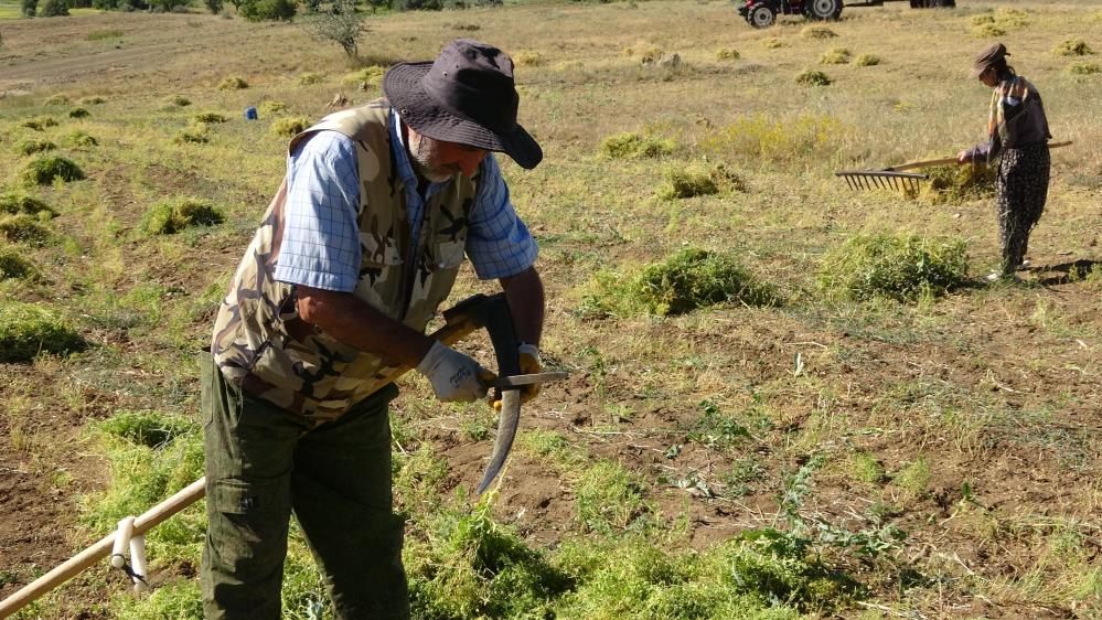 Giderek tükeniyor, aylık 45 bin liraya çalışacak işçi bulamıyorlar