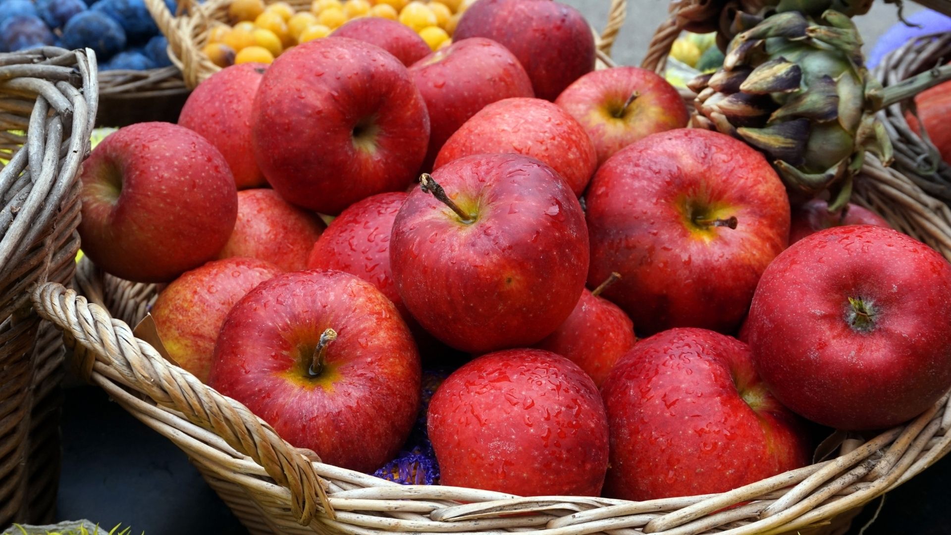 Elma diyeti ile metabolizma hızınıza bağlı olarak ortalama 3 kilo zayıflayabilirsiniz.