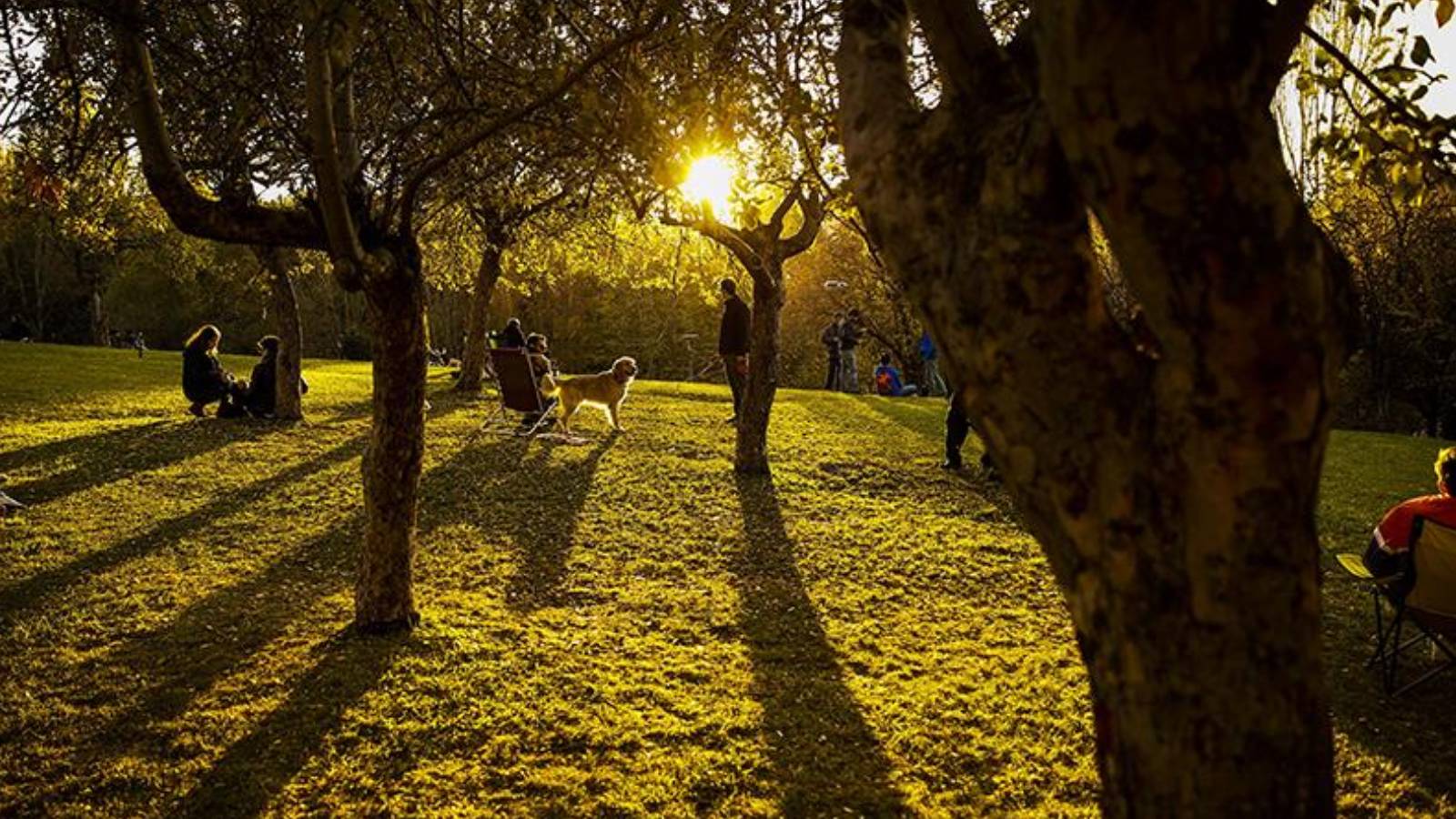 29 Eylül Pazar günü hava nasıl olacak? Meteoroloji açıkladı