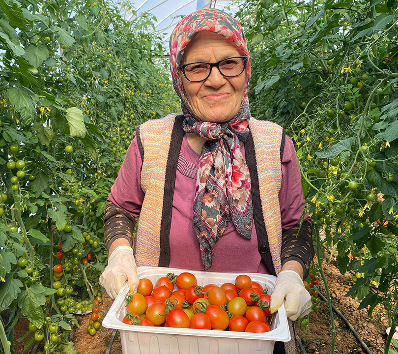 Kocası 5 çocuğuyla terk etti! 46 sene ev temizleyen 75 yaşındaki kadın şimdi serada çalışıyor