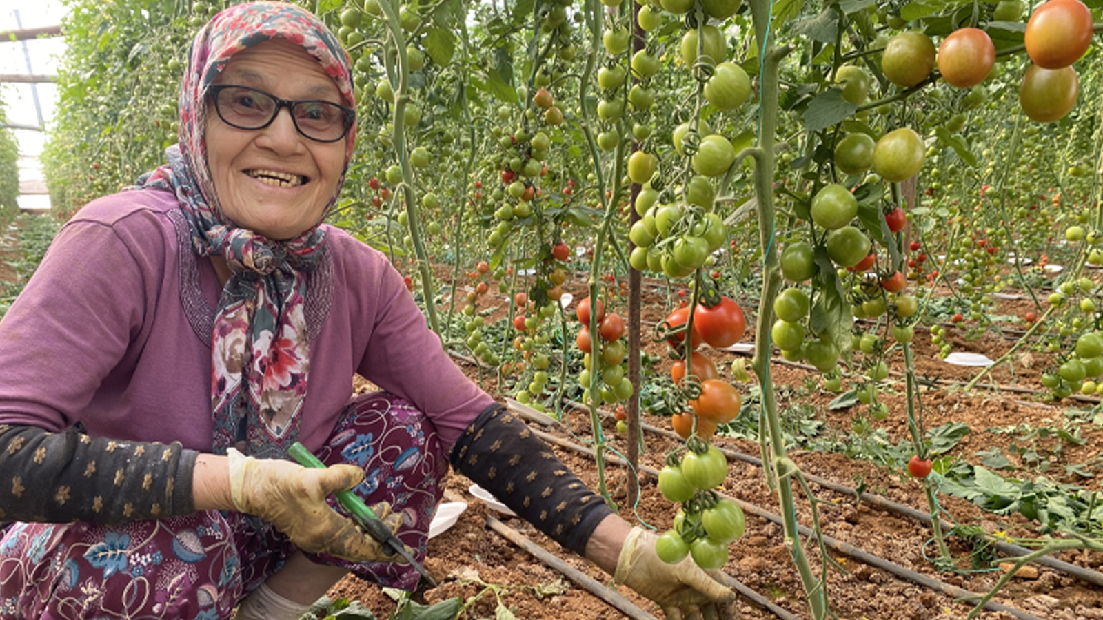 Kocası 5 çocuğuyla terk etti! 46 sene ev temizleyen 75 yaşındaki kadın şimdi serada çalışıyor